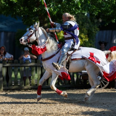 Knight Charging into Battle