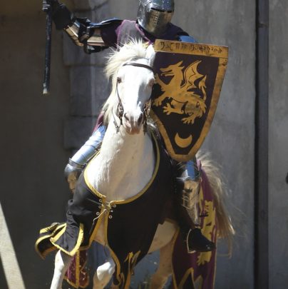 "Knight at the Ready" - Joust Category Winner by Phil M.